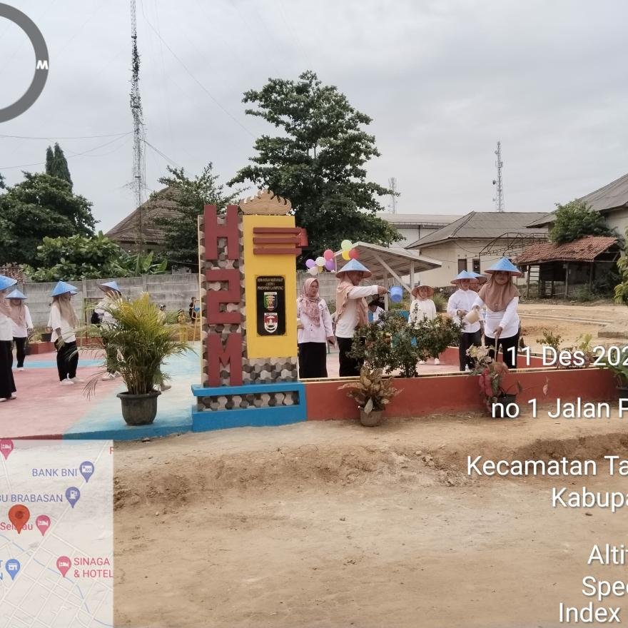 KWT (KELOMPOK WANITA TANI) DESA BRABASAN GIAT TANAM SAYURAN